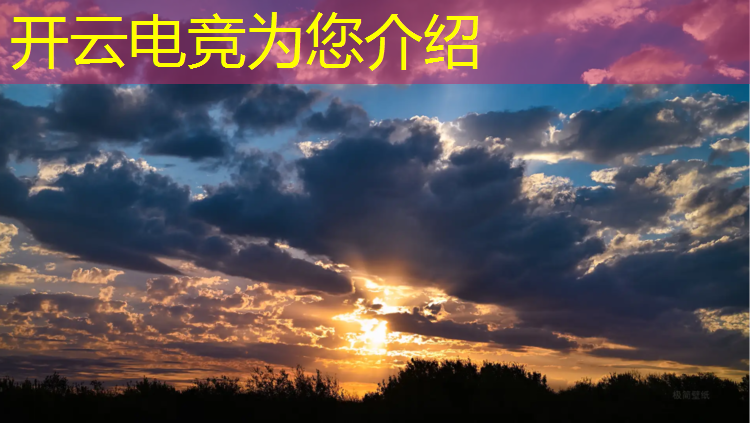 开云电竞为您介绍：电竞赛事风险的概念界定