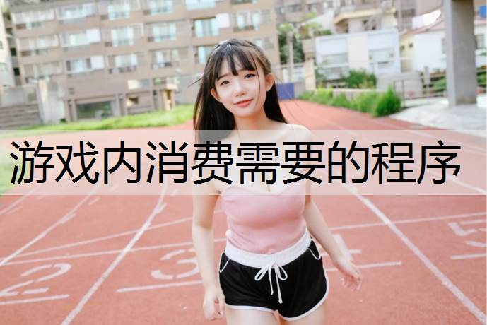 游戏内消费需要的程序