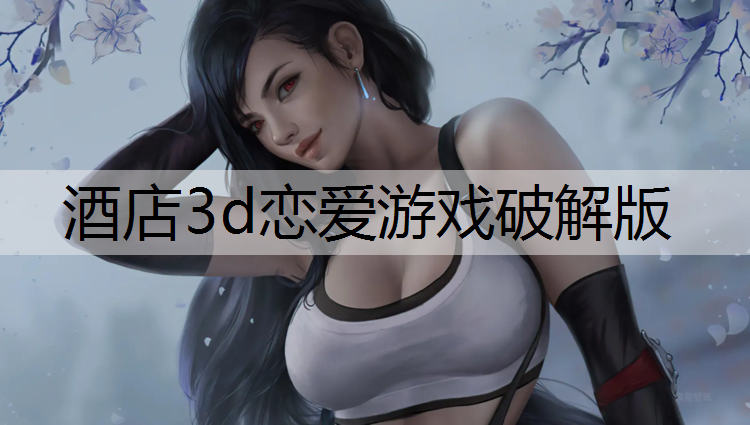酒店3d恋爱游戏破解版