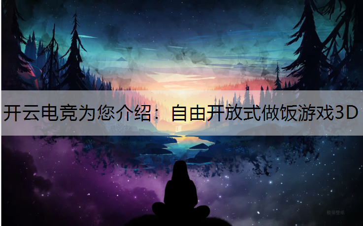 自由开放式做饭游戏3D