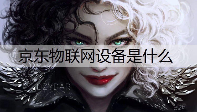 京东物联网设备是什么